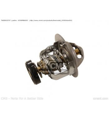 HONDa OEM dalis, 19300-MBW-003