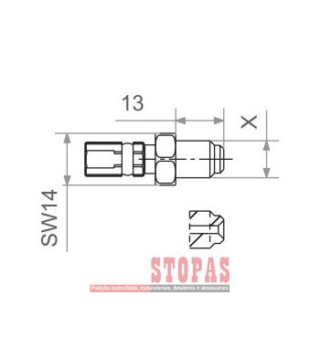 TRW STABDŽIŲ ŽARNELĖS ANTGALIS M10 x 1,0 (Japanese) Female