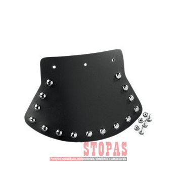 DRAG SPECIALTIES SEATS APSAUGA NUO PURVO 