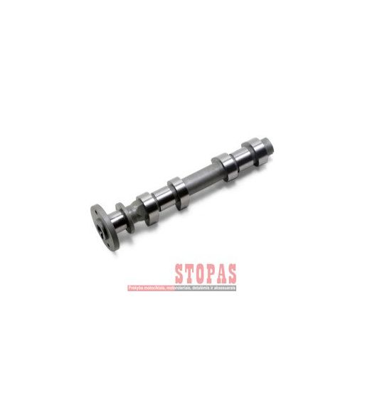 HOT CAMS CAM EXHAUST POLARIS