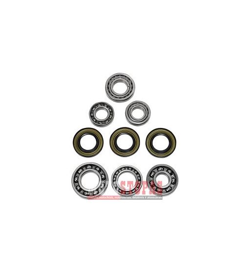 EPI Differential Bearing and Seal Kit YAMAHA