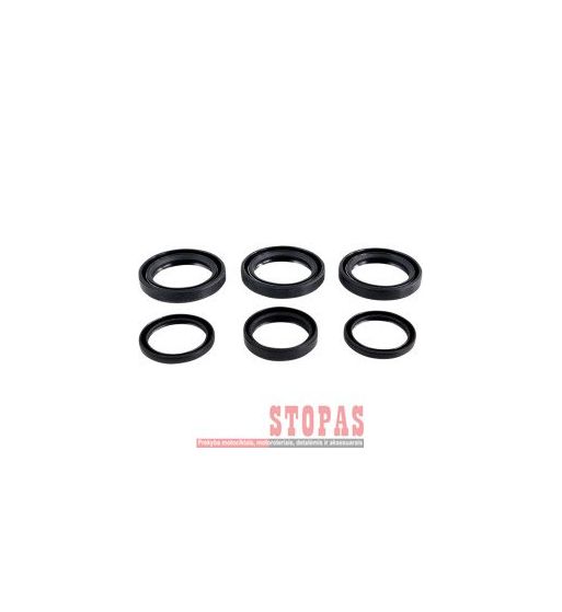 EPI Differential Seal Kit POLARIS