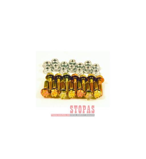 DWT DOUGLAS WHEEL VARŽTAI 6MM X 20 HEX