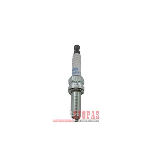 NGK SPARK PLUGS ŽVAKĖ 