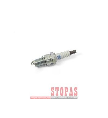 NGK SPARK PLUGS ŽVAKĖ BETA
