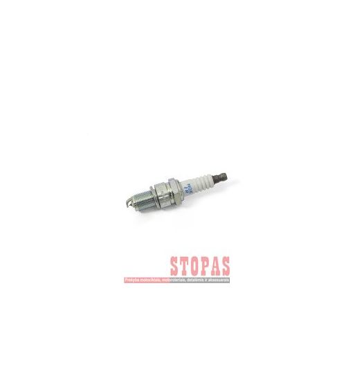 NGK SPARK PLUGS ŽVAKĖ BETA