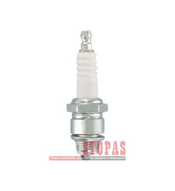 NGK SPARK PLUGS ŽVAKĖ PIAGGIO/JOHN DEERE