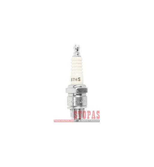 NGK SPARK PLUGS ŽVAKĖ YAMAHA/SUZUKI