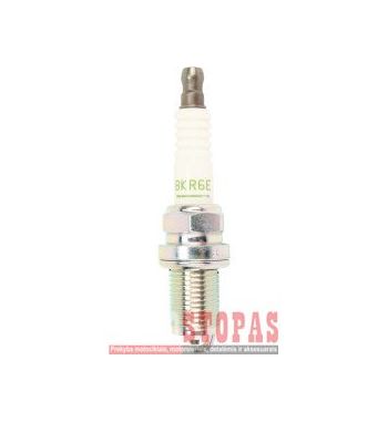 NGK SPARK PLUGS ŽVAKĖ POLARIS