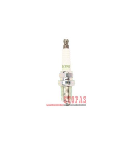 NGK SPARK PLUGS ŽVAKĖ POLARIS
