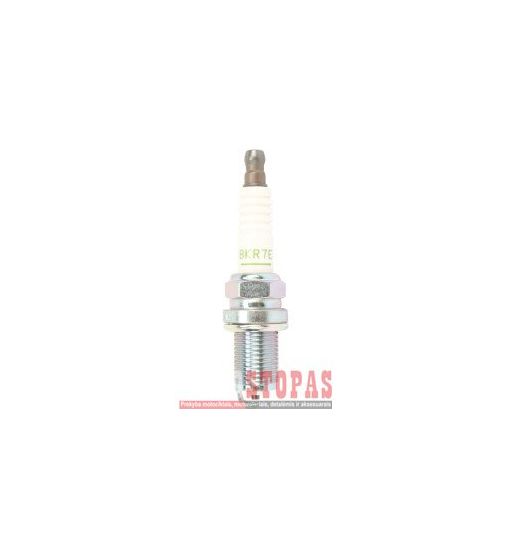 NGK SPARK PLUGS ŽVAKĖ POLARIS