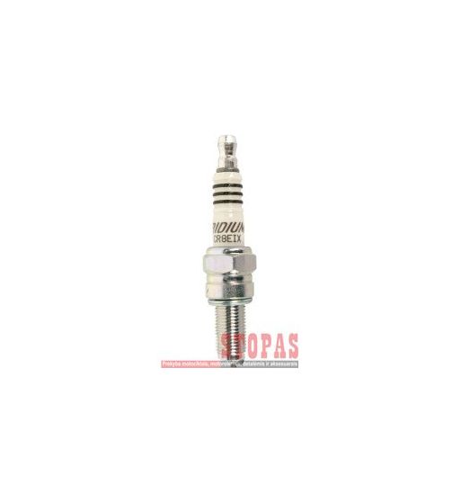 NGK SPARK PLUGS ŽVAKĖ 