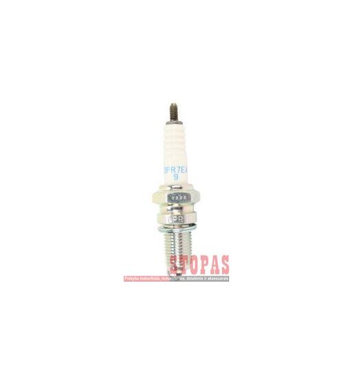 NGK SPARK PLUGS ŽVAKĖ 