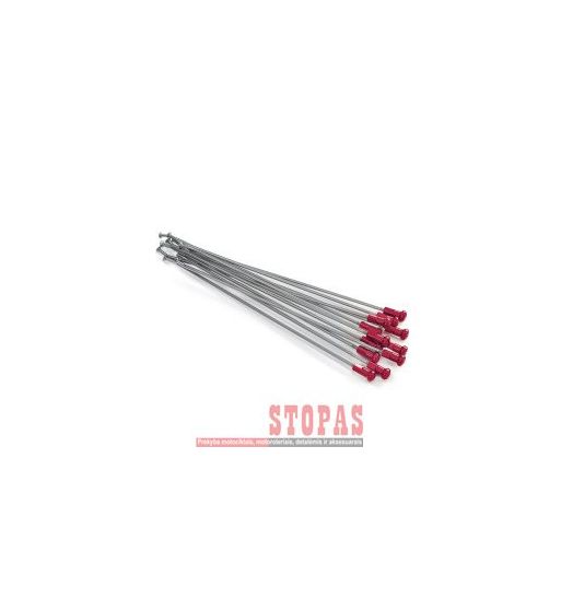 KITE STIPINŲ KOMPLEKTAS 21" FRONT ALUMINIUM REPLACEMENT KIT SILVER | RED