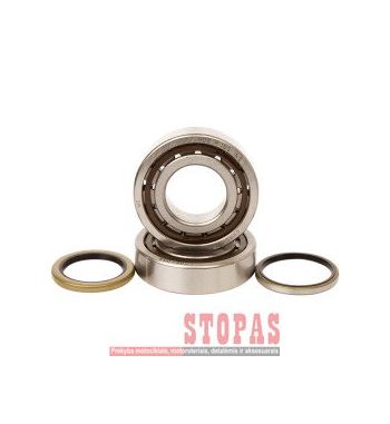 HOT RODS TOP END BEARING KTM