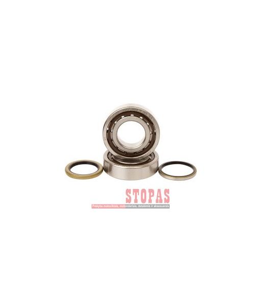 HOT RODS TOP END BEARING KTM