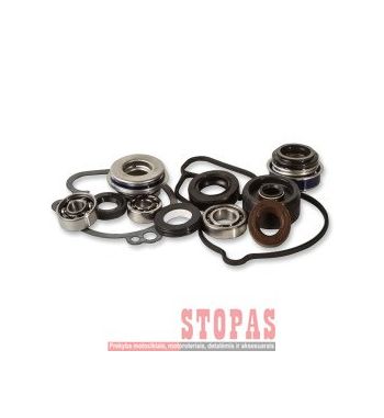 HOT RODS KOMPEKTAS REMONTINIS VANDENS POMPAI HONDA