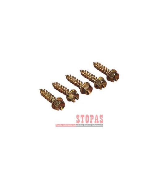 GOLD SCREWS SCREWS GOLD 1" (1000) 