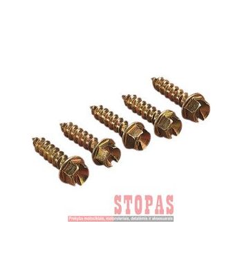 GOLD SCREWS SCREWS GOLD 1/2" (250) 