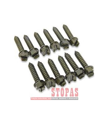 GOLD SCREWS SCREWS  PRO GOLD 1" 250