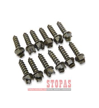 GOLD SCREWS SCREWS PRO GOLD 3/4" 250 