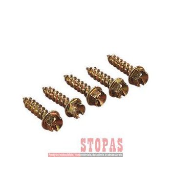 GOLD SCREWS SCREWS GOLD 1/2" (250) 