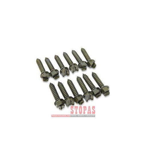 GOLD SCREWS SCREWS  PRO GOLD 1" 250