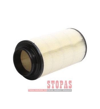 ALL BALLS Oro filtras POLARIS