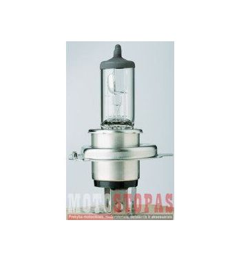 FLOSSER Lemputė HS1 12V 35/35W PX43T 10 PK