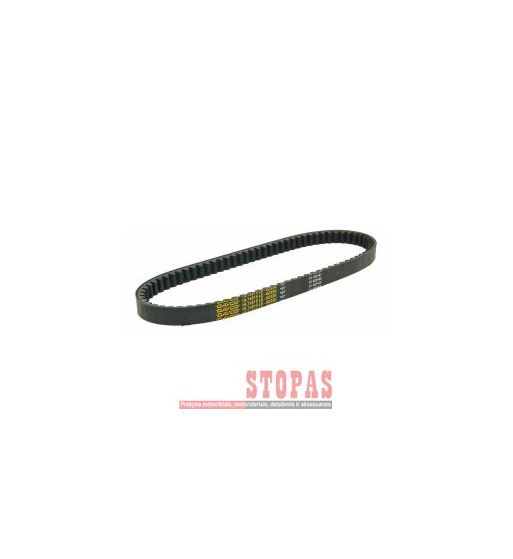DAYCO PRODUCTS,LLC  VARIATORIAUS DIRŽAS SYM