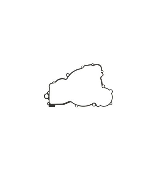 SANKABOS DANGČIO TARPINĖ 