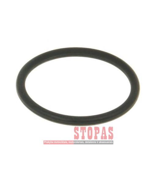 NARAKU EXHAUST GASKET BETA/FANTIC