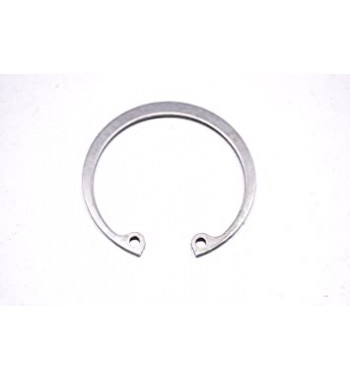 RING-SNAP 