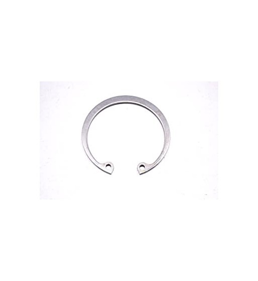 RING-SNAP 