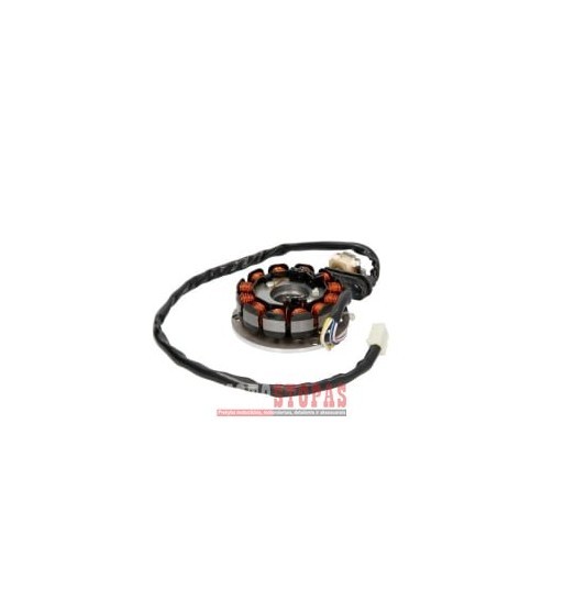 (Alternator stator AM6 12 coils)
