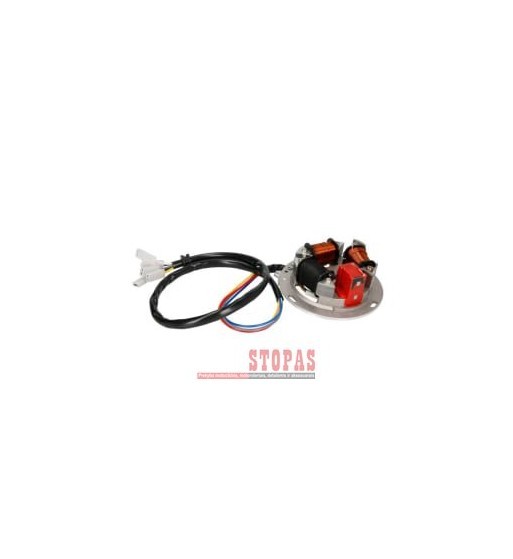 Stator (6V)