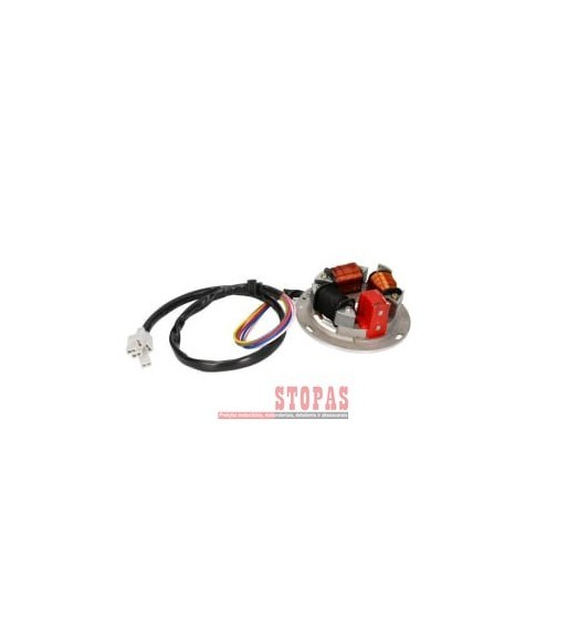 Stator (12V)