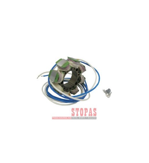 RICK'S MOTORSPORT ELECTRIC APVIJOS