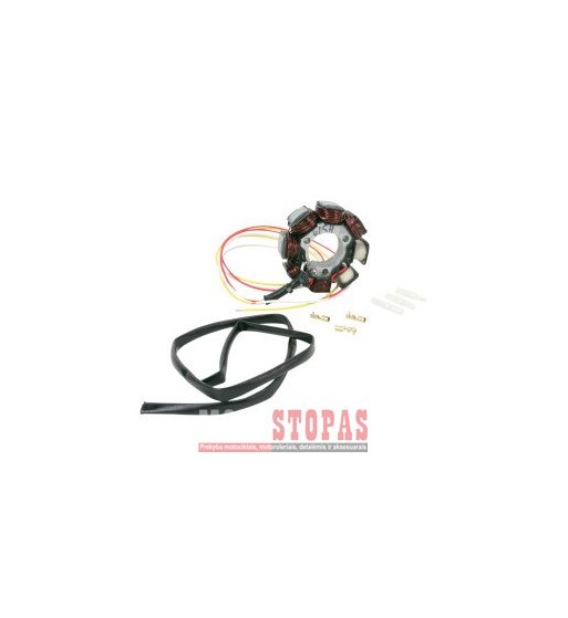 RICK'S MOTORSPORT ELECTRIC APVIJOS
