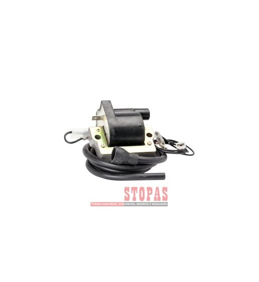 RICK'S MOTORSPORT ELECTRIC COIL IGNITION