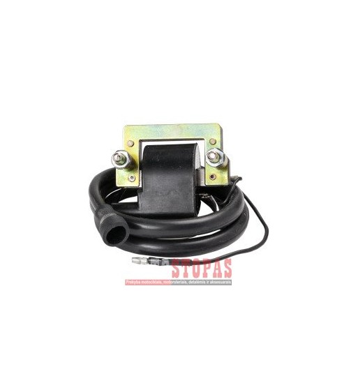 RICK'S MOTORSPORT ELECTRIC COIL IGNITION