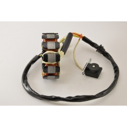 Apvijos su magnetu 125/150cc 4T